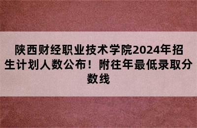 陕西财经职业技术学院2024年招生计划人数公布！附往年最低录取分数线