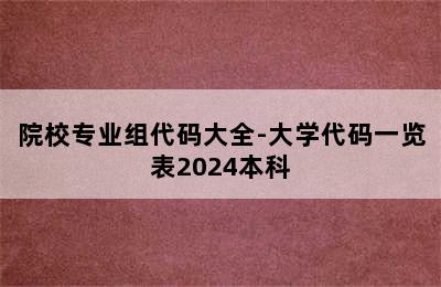 院校专业组代码大全-大学代码一览表2024本科