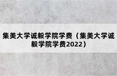 集美大学诚毅学院学费（集美大学诚毅学院学费2022）