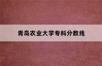 青岛农业大学专科分数线