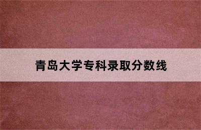 青岛大学专科录取分数线