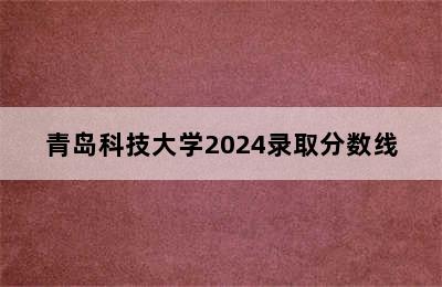 青岛科技大学2024录取分数线