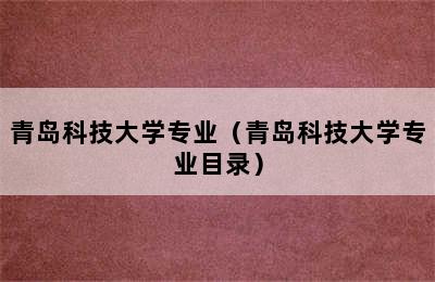 青岛科技大学专业（青岛科技大学专业目录）