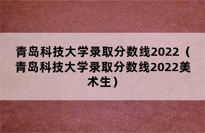 青岛科技大学录取分数线2022（青岛科技大学录取分数线2022美术生）