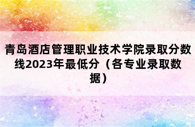 青岛酒店管理职业技术学院录取分数线2023年最低分（各专业录取数据）