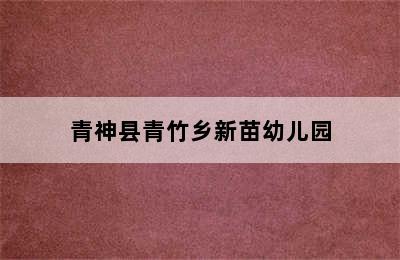 青神县青竹乡新苗幼儿园