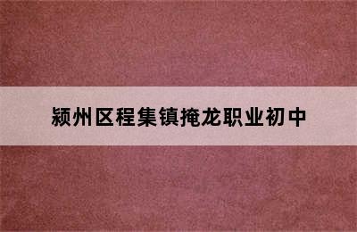 颍州区程集镇掩龙职业初中