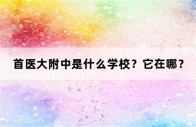 首医大附中是什么学校？它在哪？