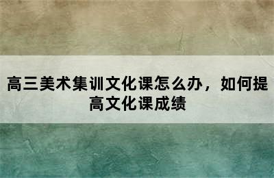 高三美术集训文化课怎么办，如何提高文化课成绩