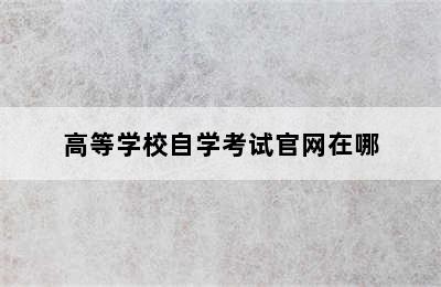 高等学校自学考试官网在哪