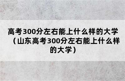 高考300分左右能上什么样的大学（山东高考300分左右能上什么样的大学）