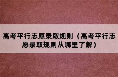 高考平行志愿录取规则（高考平行志愿录取规则从哪里了解）