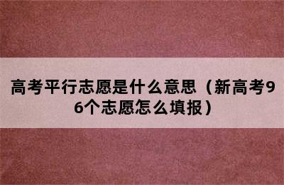 高考平行志愿是什么意思（新高考96个志愿怎么填报）