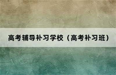 高考辅导补习学校（高考补习班）