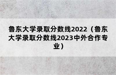 鲁东大学录取分数线2022（鲁东大学录取分数线2023中外合作专业）