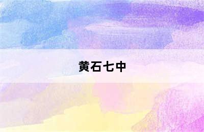 黄石七中