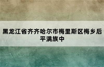 黑龙江省齐齐哈尔市梅里斯区梅乡后平满族中